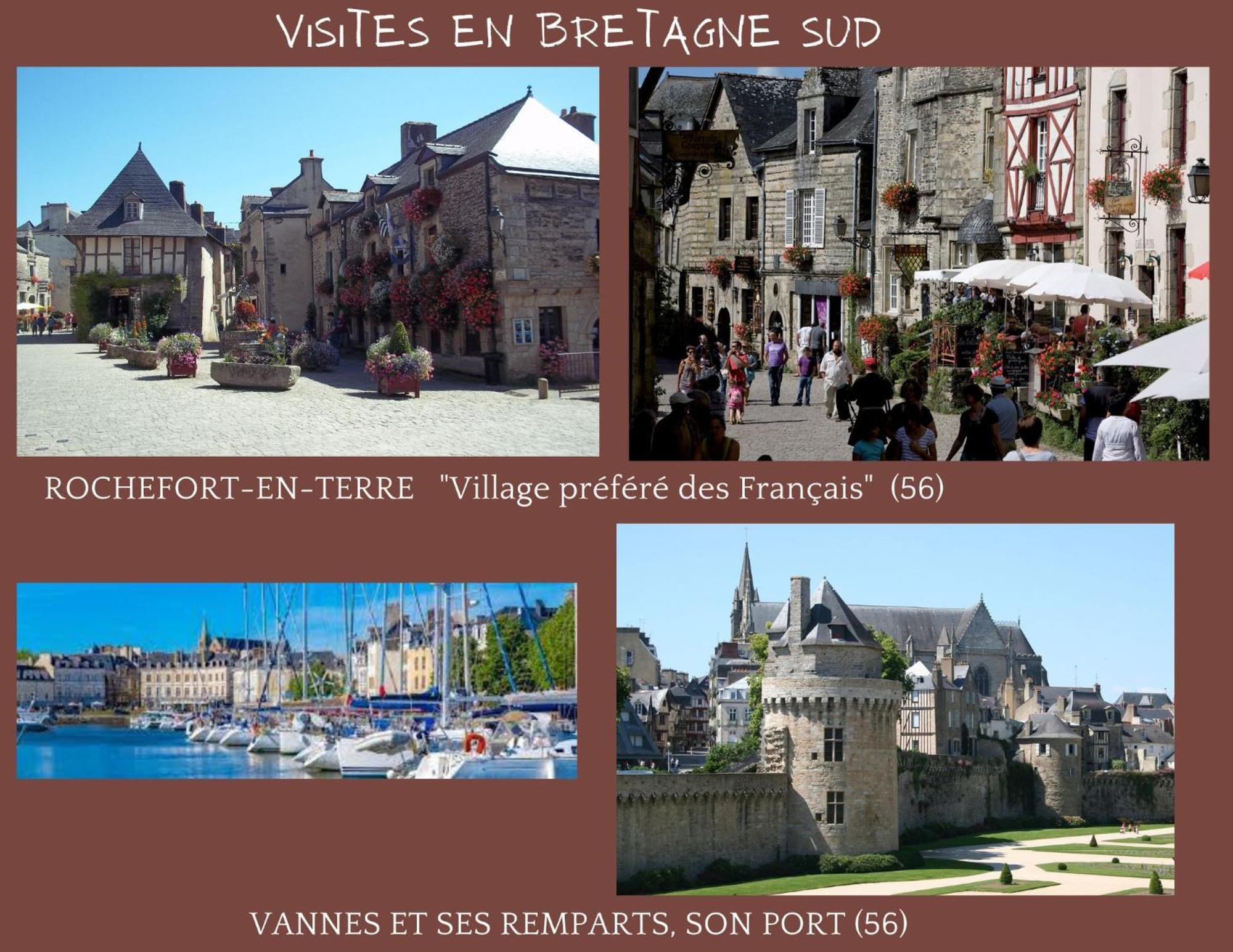 O Terrasse - Centre De - Gare *